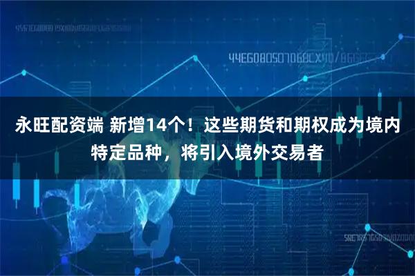 永旺配资端 新增14个！这些期货和期权成为境内特定品种，将引入境外交易者