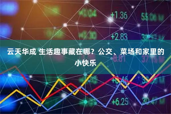 云天华成 生活趣事藏在哪？公交、菜场和家里的小快乐
