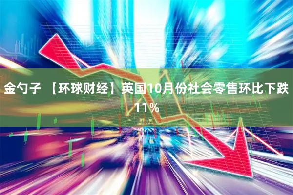 金勺子 【环球财经】英国10月份社会零售环比下跌11%