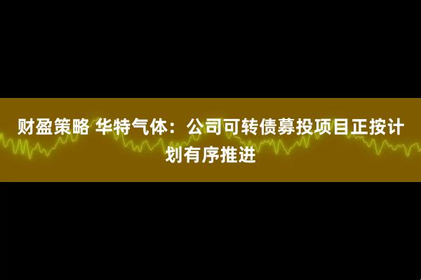 财盈策略 华特气体:公司可转债募投项目正按计划有序推进