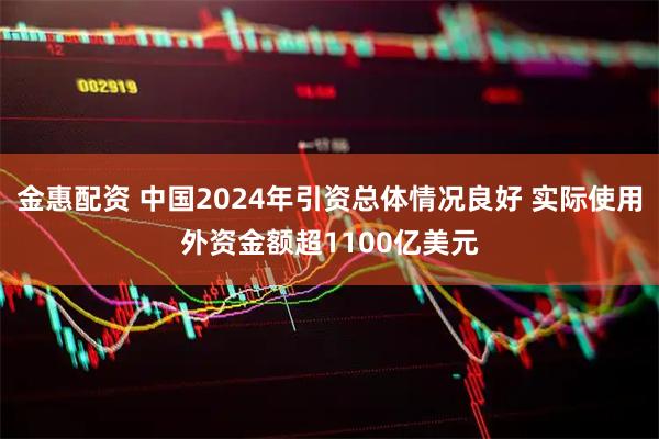 金惠配资 中国2024年引资总体情况良好 实际使用外资金额超1100亿美元